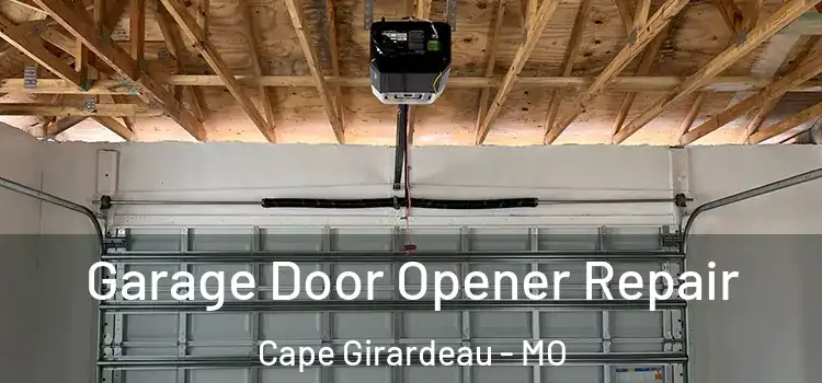  Garage Door Opener Repair Cape Girardeau - MO