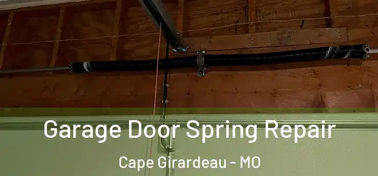  Garage Door Spring Repair Cape Girardeau - MO