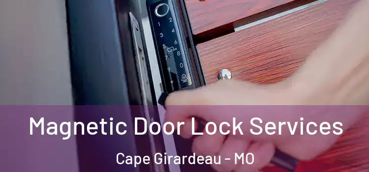 Magnetic Door Lock Services Cape Girardeau - MO