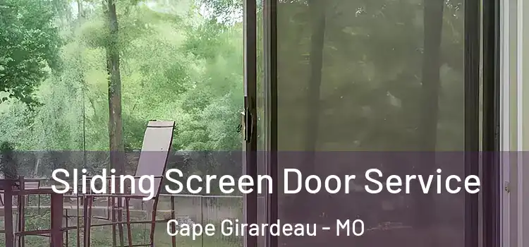 Sliding Screen Door Service Cape Girardeau - MO